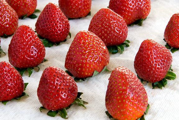 dipped strawberries recipes