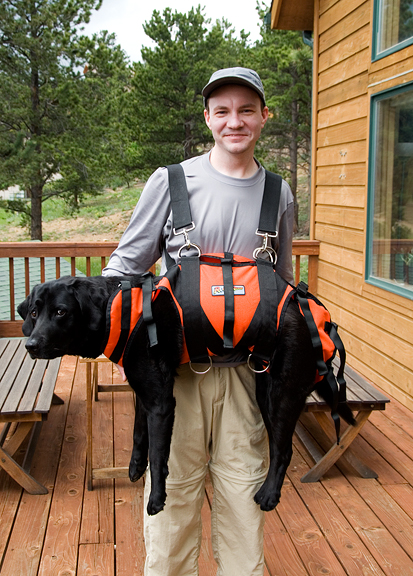 backpack to carry big dog